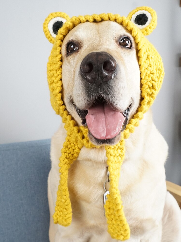 Funny Dog Cat Frog Hat Cute Pet Dog Costume Warm Knitting Wool Pet Hats Green Yellow Dogs Cap Birthday For Pet Dogs