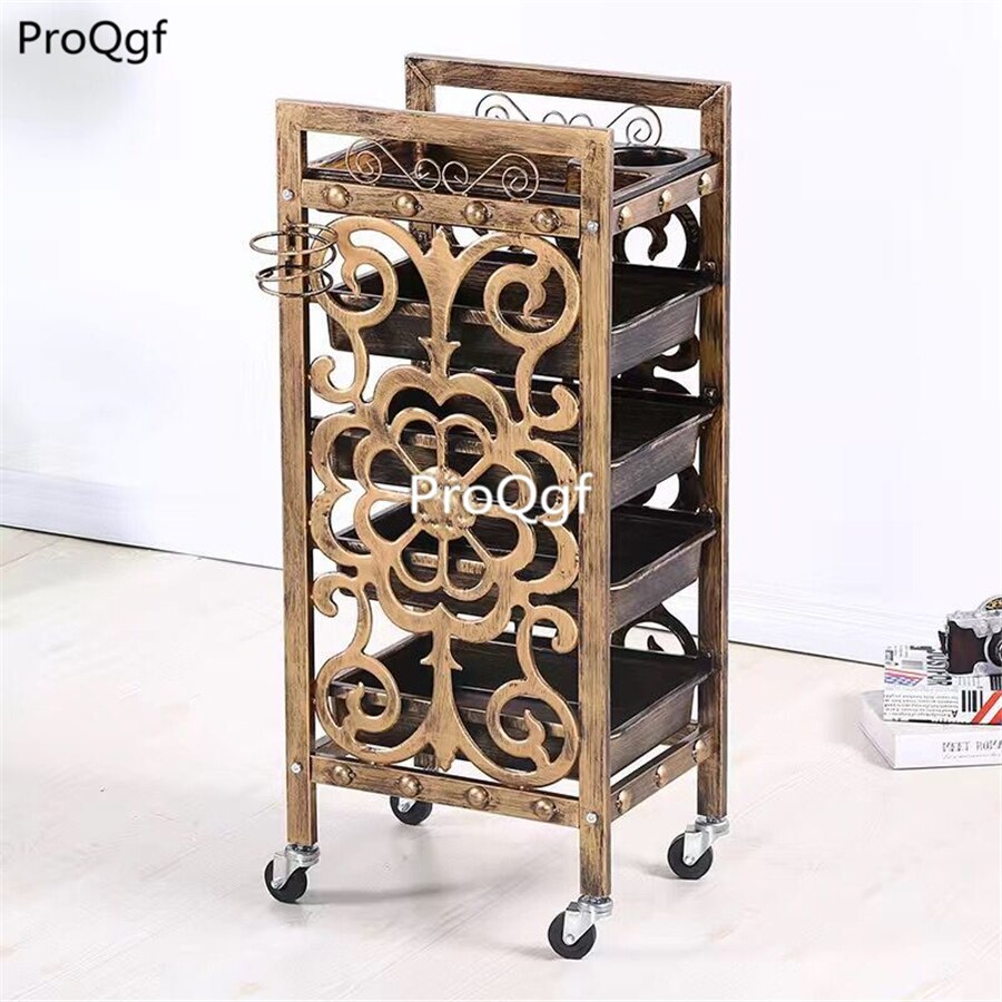 Prodgf 1 Stuks Een Set Verwijderbare Kapsalon Trolley: 08