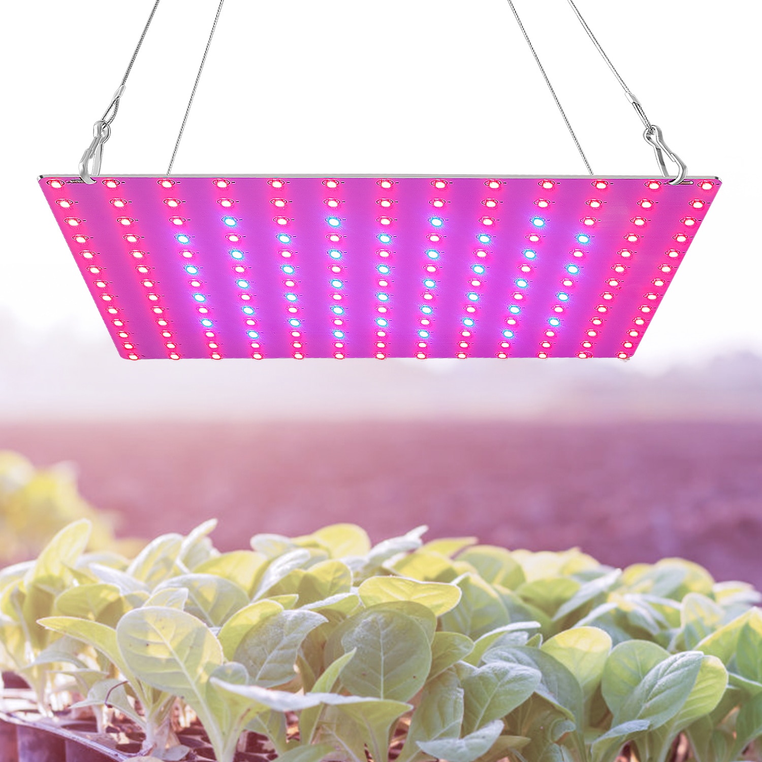 Fito-Fito de espectro completo de 220V, luz LED para cultivo de plantas, 200W, para semilleros, tablero cuántico, lámparas de 300W, caja de tienda de cultivo hidropónico