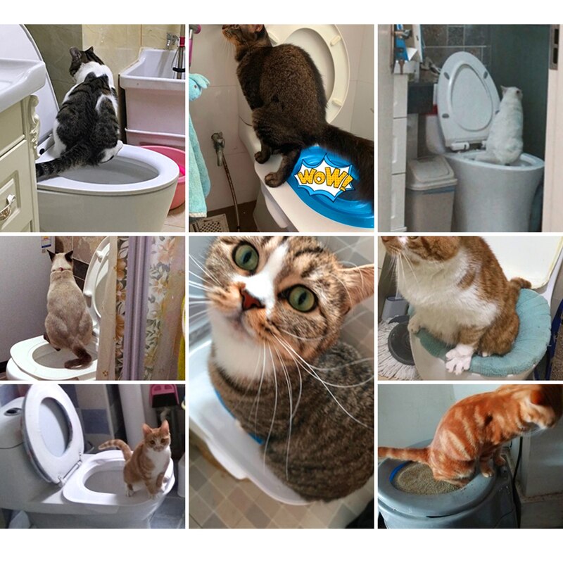 Plastic Cat Toilet Training Kit Litter Box Cat Toilet Trainer Toilet Pet Cleaning Cat Training Litter Kwitter Cat Litter Tray