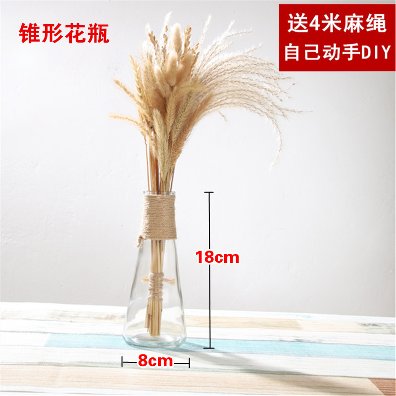 Jarrón de vidrio transparente , florero moderno minimalista hidropónico nórdico, adornos para el hogar, florero de flores secas: F-without flowers