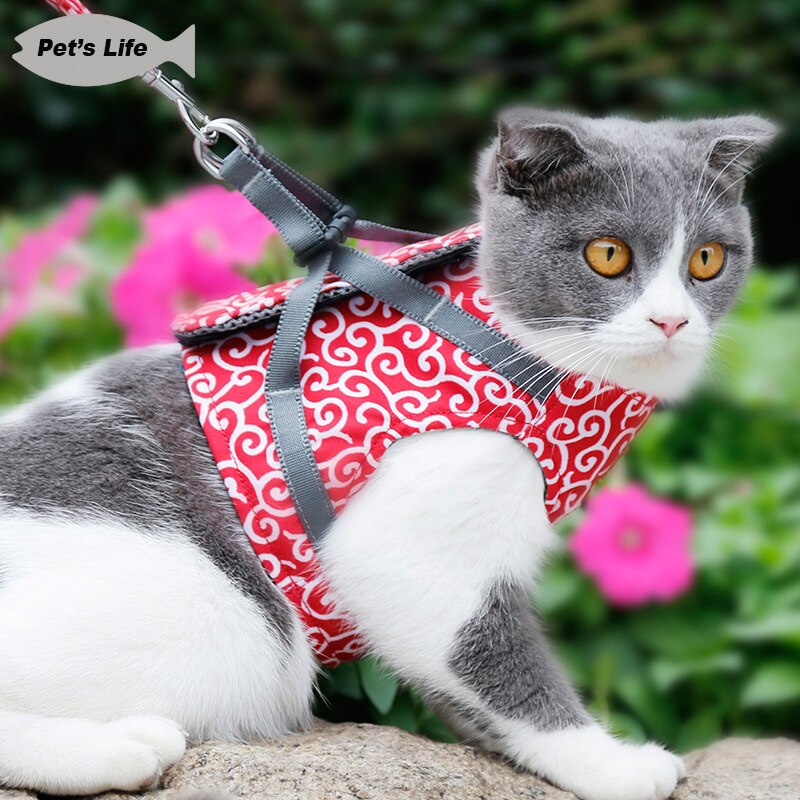 Einstellbare Katze gehen Jacke Weste nutzbar machen Blei Leine für Kleine Mittel Katze Haustier Kragen