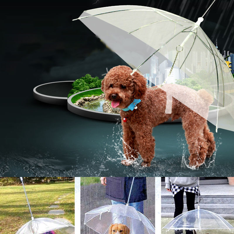 Limiet 100 Transparante Paraplu met Ingebouwde Leiband Hond Puppy Droog Comfortabel In Regen
