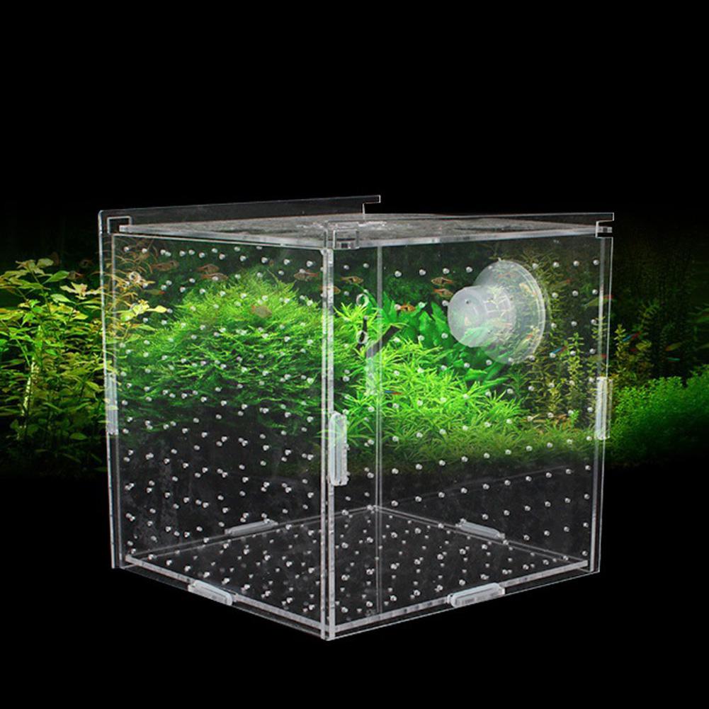 Single Grid Breeding Box Incubator Isolation Hairtail Nursery House Aquarium Accessories
