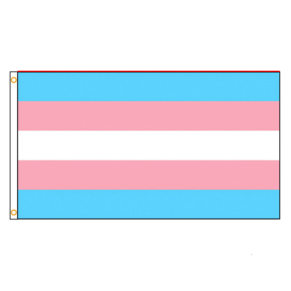 90X150 CM LGBT Trans Transgender Pride en omniseksuele Pride Pan Panseksuele vlag: 60x90 cm / Roze