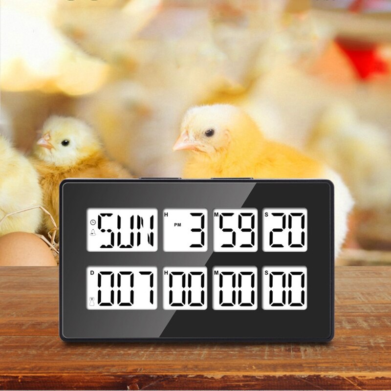 Dual Kitchen Timer Digital Timers For Cooking,2In1 Egg Timer Time Timer Clock Pomodoro Timer Countdown Timer For Kids