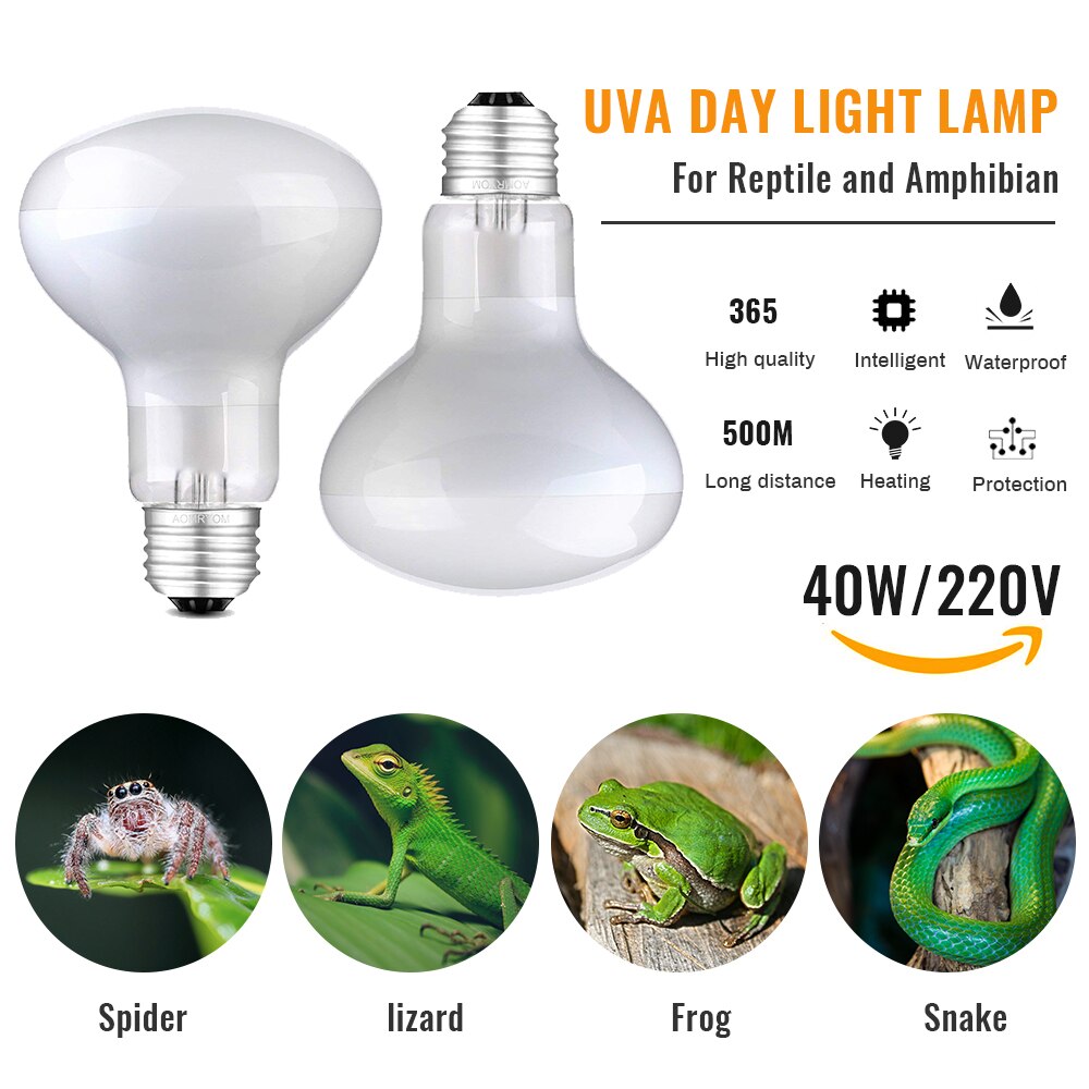 Lampe chauffante pour animaux de compagnie UVA jour nuit amphibie amphibien serpent lampe chaleur Reptile ampoule lumière 25W 50W 100W AC220-240V: G226088A