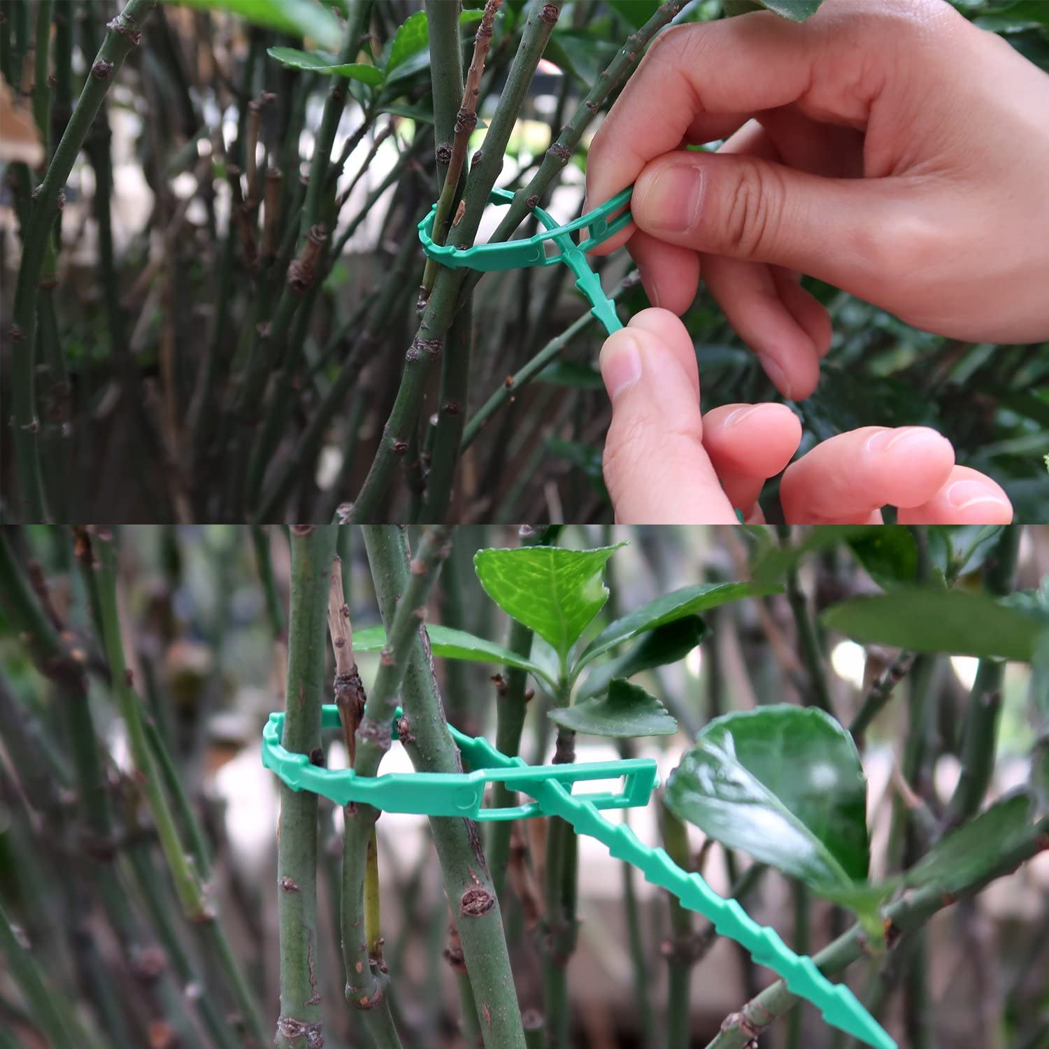 100pcs Reusable Garden Cable Ties Nylon Adjustable Plastic Cable Ties Tools Plant Support Shrubs Locking plant accessories