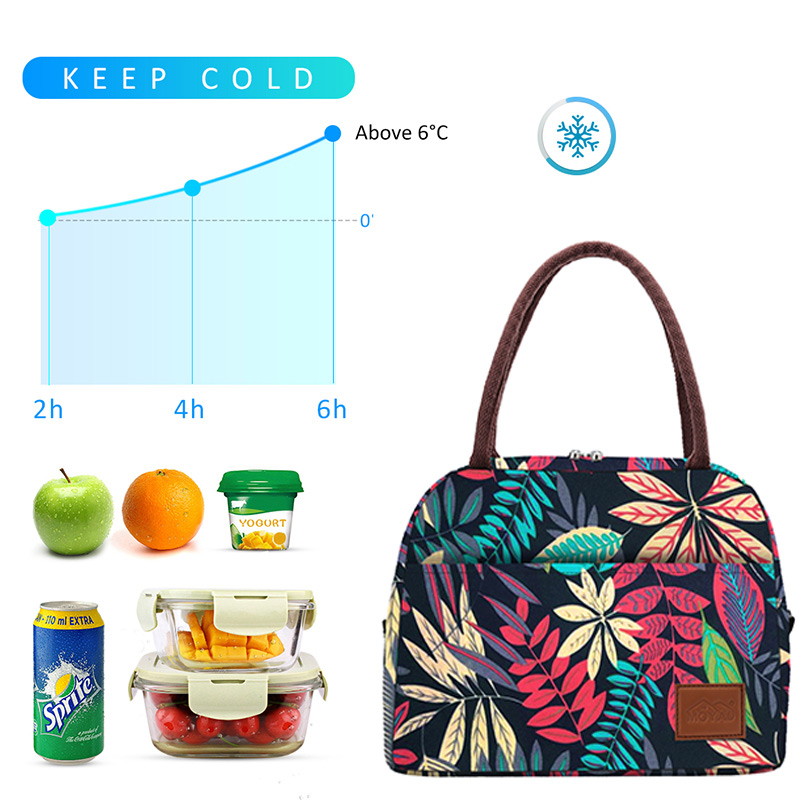 Aosbos Print Canvas Portable Cooler Lunch Bag Thermal Insulated Food Bags Food Picnic Lunch Box Bag for Men Women Kids