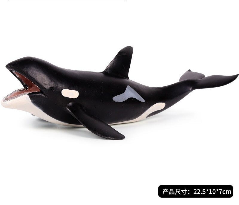 Large Killer Whale Grampus Orca Figure Miniature Sea Animal Model Simulation Marine Animal Fish Model Kids Toy Decor