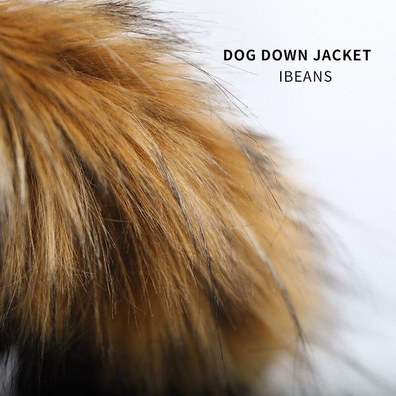 PETCO Warm Winter Dog Clothes Tails Dogs Jacket Coat 3 Layer Thick Pet Clothing Waterproof Outfit for Small Large Dogs