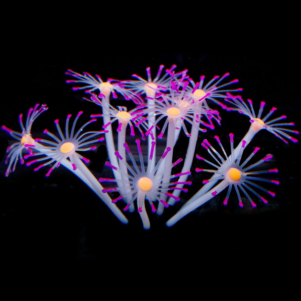 Aankomsten 1 stuks 21cm hoge siliconen kunstmatige vissenkom aquarium koraal plant bloem ornament waterdecoratie huisdecoratie