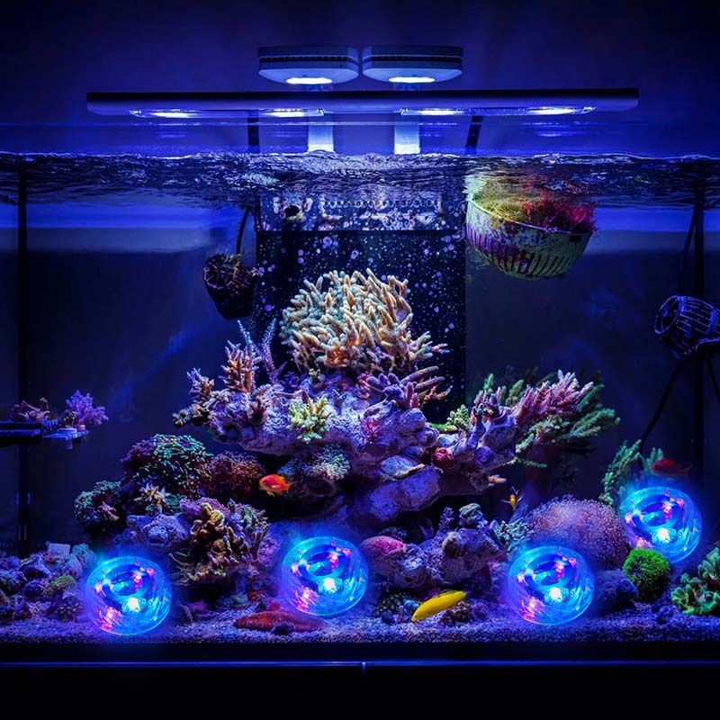 Baby Kids Electric Flashing Bathing Toys Tub LED Light Shower Diamond Waterproof Colorful Baby Kids Bathroom Toy