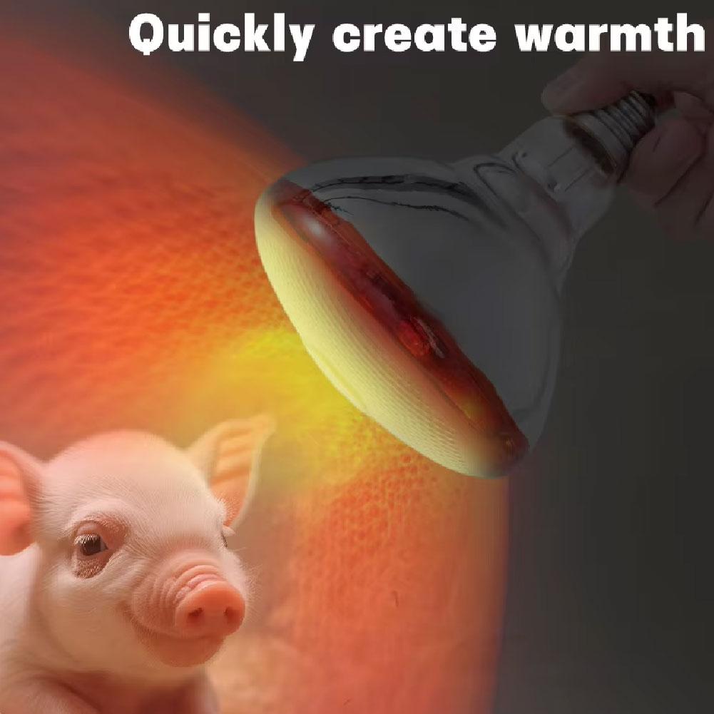 Rode Warmte Gloeilamp Warmte Behoud Lamp Fokken Verwarming Lamp Infrarood Waterdichte Verdikking Baklamp Voor Kuikens Biggen