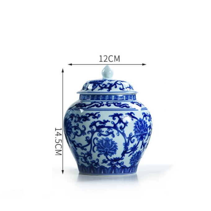 Blue and White Porcelain Tea Caddy Ceramic Simple Candy Coffee Storage Tank with Lid Large Sealed Cans Household Spice Jar: M