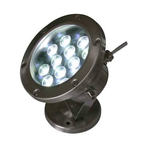 CE,IP68,stainless steel,12W LED spotlight, LED outdoor light,LED projector light,12X1W,12V DC IP68,DS-10-12-12W