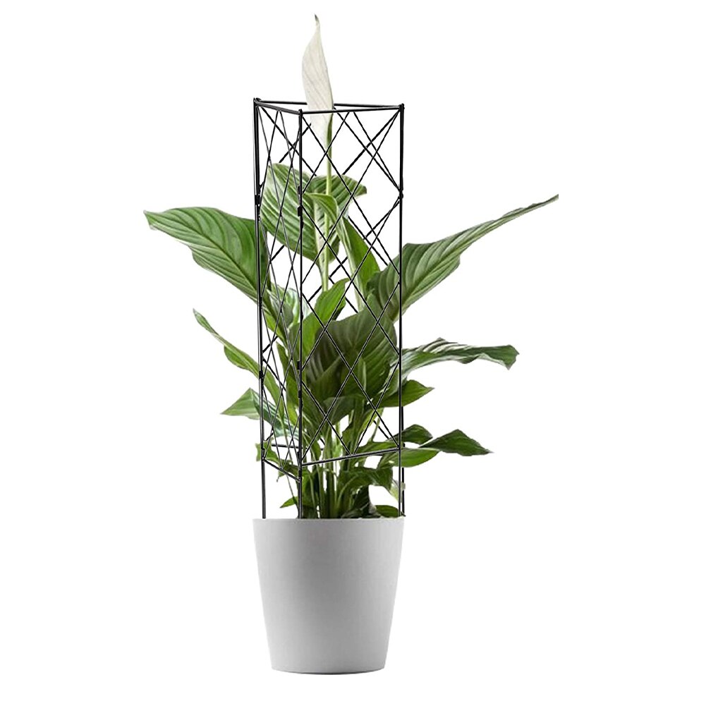 3 stk plante klatring espalier ramme hage blomst plante voksende støtte metall jern espalier vegg sammenleggbar espalierbrakett svart
