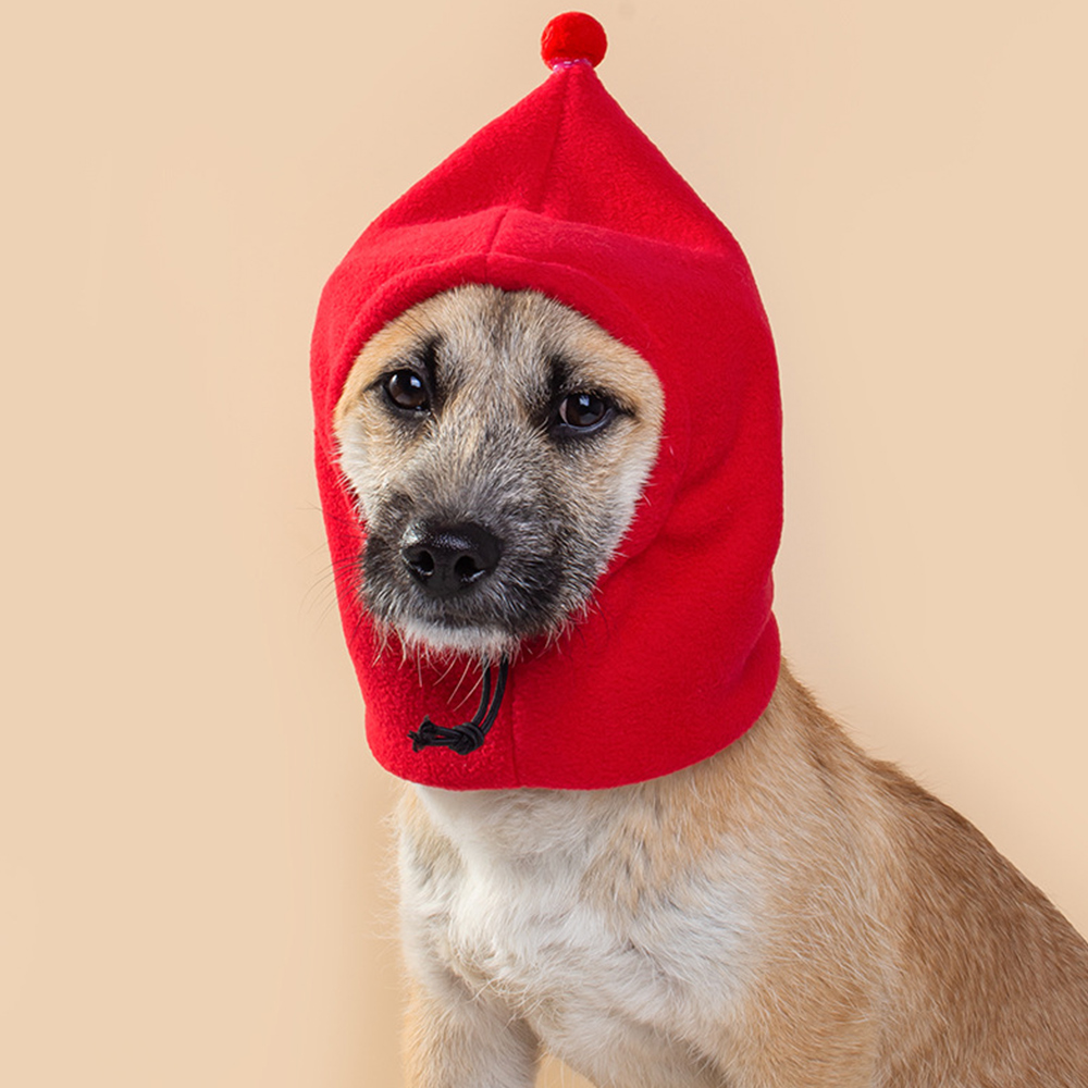 Chapeau d'hiver pour chien, couleur unie, bouledogue français, , cordon réglable, couvre-chef pour animaux de compagnie, casquette polaire douce pour chiot
