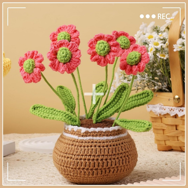 Kit de punto de ganchillo en maceta de flores para principiantes completos, principiantes, tutorial de Video paso a paso