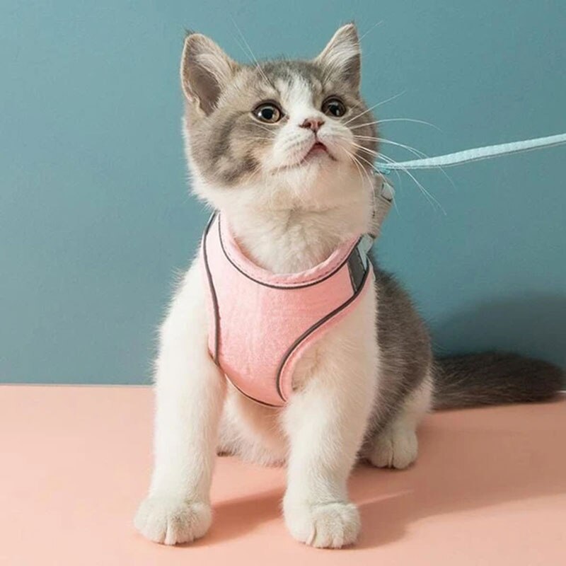 Cat Harness Leash Set Rope Vest-style Harness With Reflective Strips Adjustable Leashes for Cat Walking Pet SLeash Chest Strap