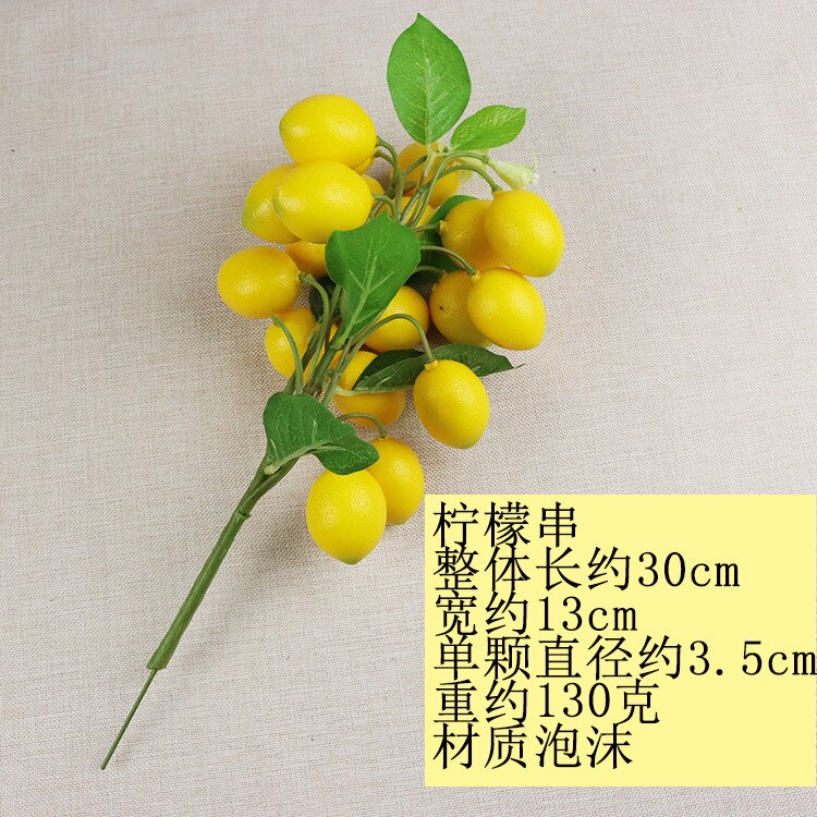 Simulated Fruit String Foam Longan, Longan, Lychee, Blueberry, Cheli, False Fruit Props Shooting Props: 15