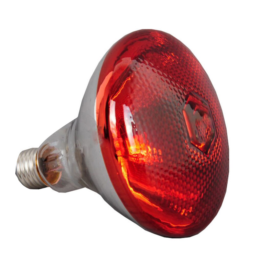 Lampe infrarouge 240V, étanche, pour couveuse de volaille, ampoule pour chiot, cochon, LKS99
