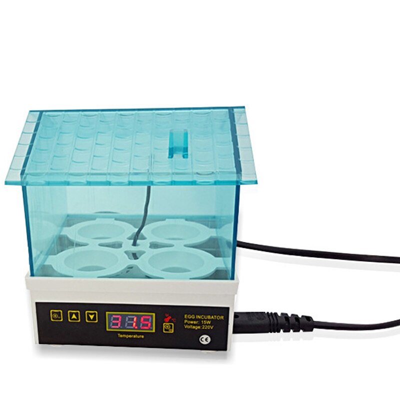 Incubadora de incubadora con enchufe estadounidense, pequeña incubadora con temperatura Digital de 4 huevos