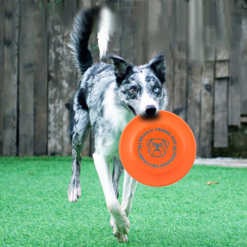 Flying Discs Dog Toy Interactive Soft Resistant Flying Saucer Toy For Big Small Dog Play Game Train Chew Pet Dog Disc Toy Plate