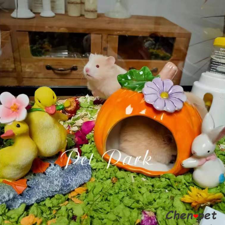 Cama de cerámica con de calabaza para hámster, jaula para ratas, conejillo de indias, accesorios para mascotas pequeñas, hámster y chinchillas sirios