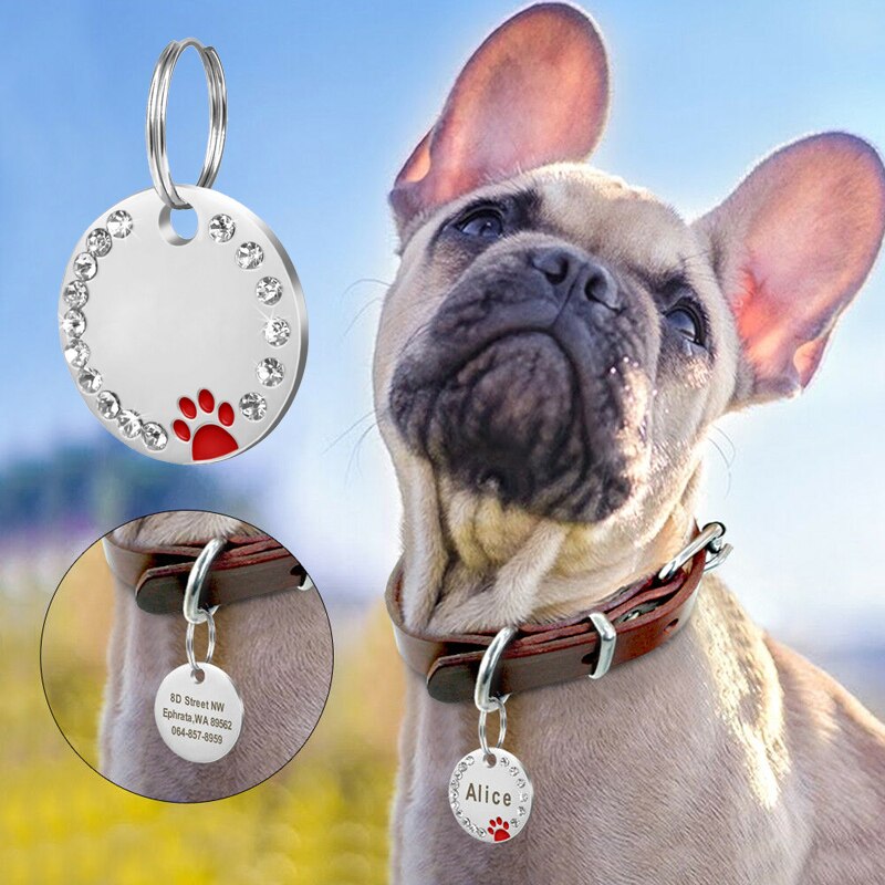 Collier en forme de patte pour chien et chat, porte-clés avec identification, chaîne en métal strass, pendentif gravé avec nom