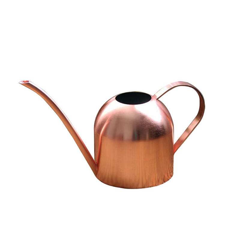 Regadera de boca larga de acero inoxidable de 500ML, regadera de plantas verdes, regadera pequeña dorada, herramientas de jardinería, Control de agua: B