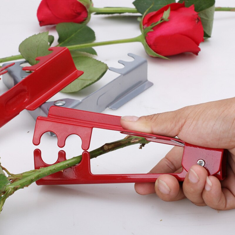¡Novedad! Alicates de rosas, herramienta para el jardín, herramienta de floristería para cortar flores, separador de hojas de tallo de Espina, ramos de poda