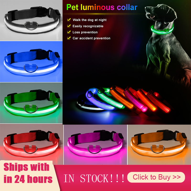 Led Anti-Verloren Huisdier Halsband Flashing Glow Glowing Lichtgevende Night Halsbanden Harnesses Riemen Huisdier Producten Kat Halsbanden