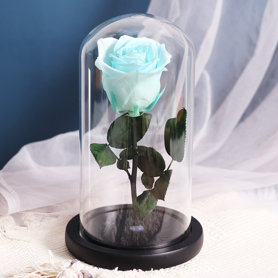 Torkade blommor konserverade rosor i glasskåpa med nattljus ornament bröllop alla hjärtans dag jul år heminredning: Himmelsblå