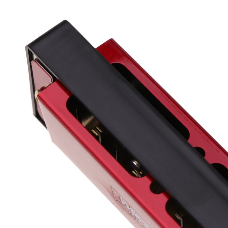 Professionele 24 Hole Harmonica Sleutel Van C Mond Metalen Orgel Voor Beginners