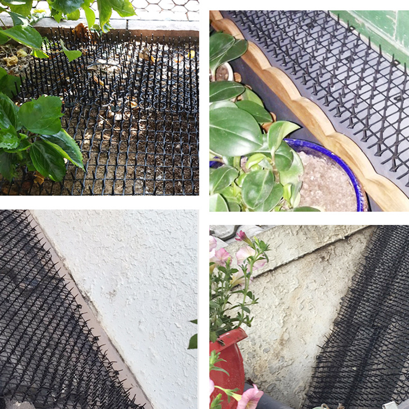 Tuin Kat Scat Matten Anti-Kat Honden En Pest Plastic Prikkeling Strip Netwerk Graven Stopper Tuin Netting Plastic Spike leveranciers