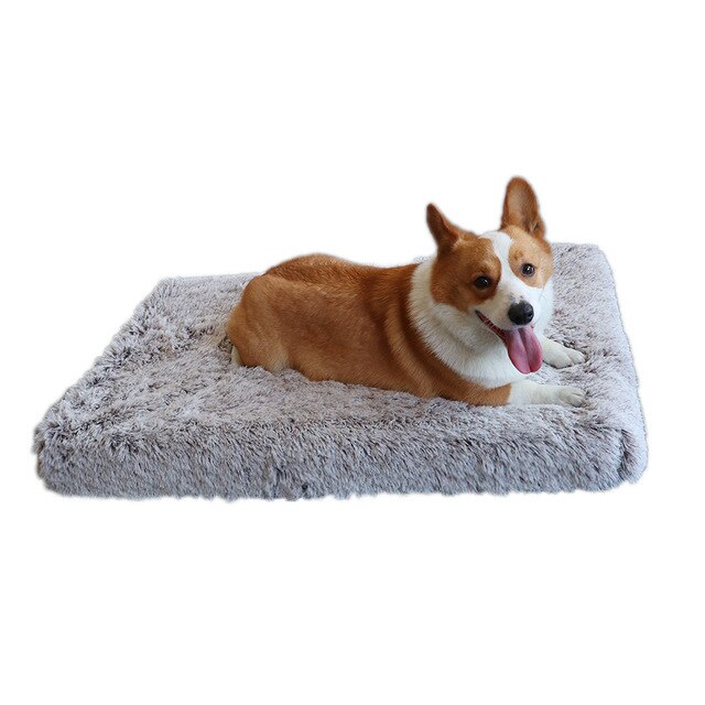 Traversin en peluche rectangulaire pour animaux de compagnie, coussin à mémoire de forme, orthopédique, luxueux, Anti-anxiété, pour lit de chien: Coffee / 50x40x5cm