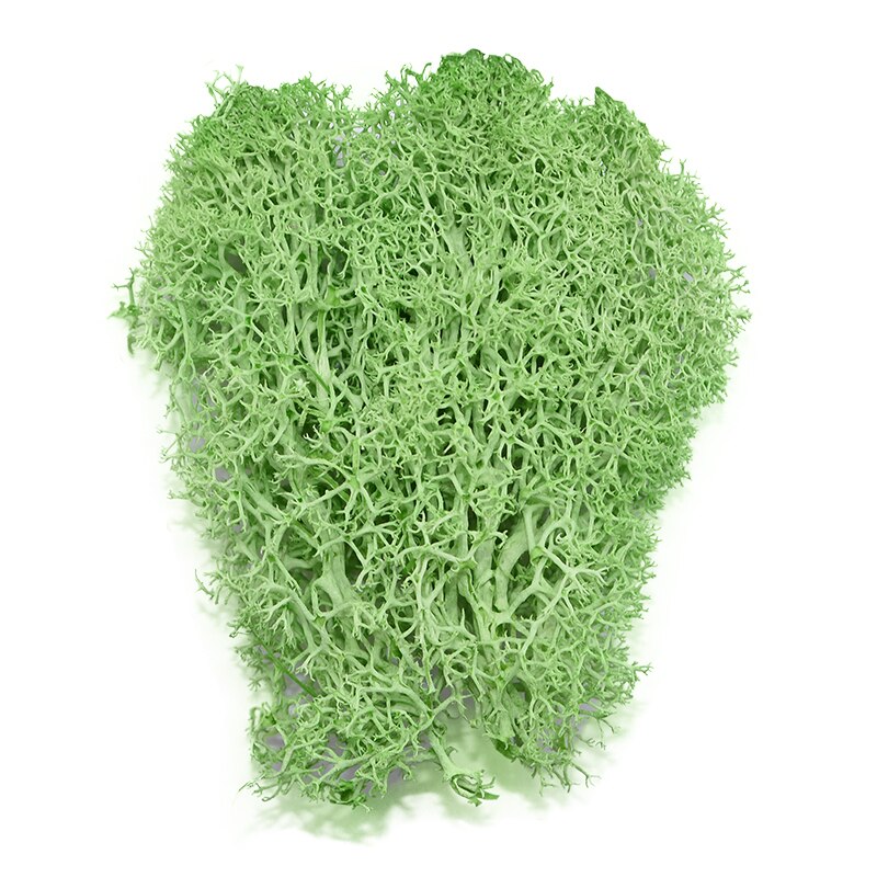 40g kunstig grønn plante mose diy bakgrunn vegg hage hjemmedekorasjon mini mikro landskap tilbehør
