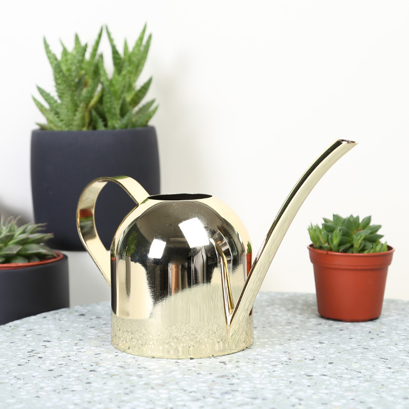 Rvs Gieter Ketel Tuin Huis Fles Planten Bloem Sprinker Pot Gereedschap (Goud)