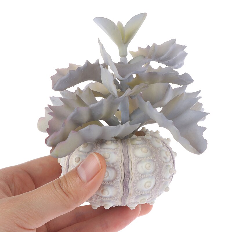 3 Stks Geometrische Houder Airplants Metalen Stand Planter Planken Himmeli Decor Tillandsia Containers