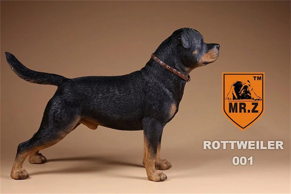 Mr.Z Studio 1:6 Rottweiler Figure Cute Police Pet Dog Animal Model Collector Decor Kid Resin Office Desktop Accessories