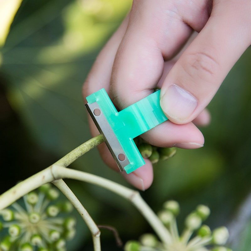 Garden Pruner By Hand Tomato Cucumber Grape Fruit Picking Garden Tools Blade Cutting Scissors Rings Gardening Tools