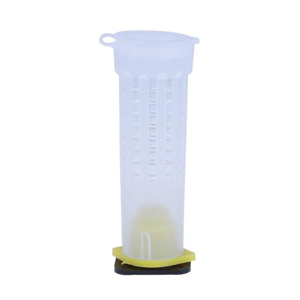 Insect Rearing Cups 10PCS Bee Cages Beekeeping Rearing Cup Kit Queen B... – Grandado