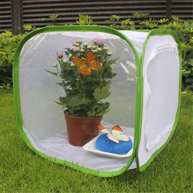 Vlinder Kooi Mini Insect Habitat Popup Inklapbare Insect Mesh Kooi Plant Kas Doos Mantis Stick Insect Voerbox