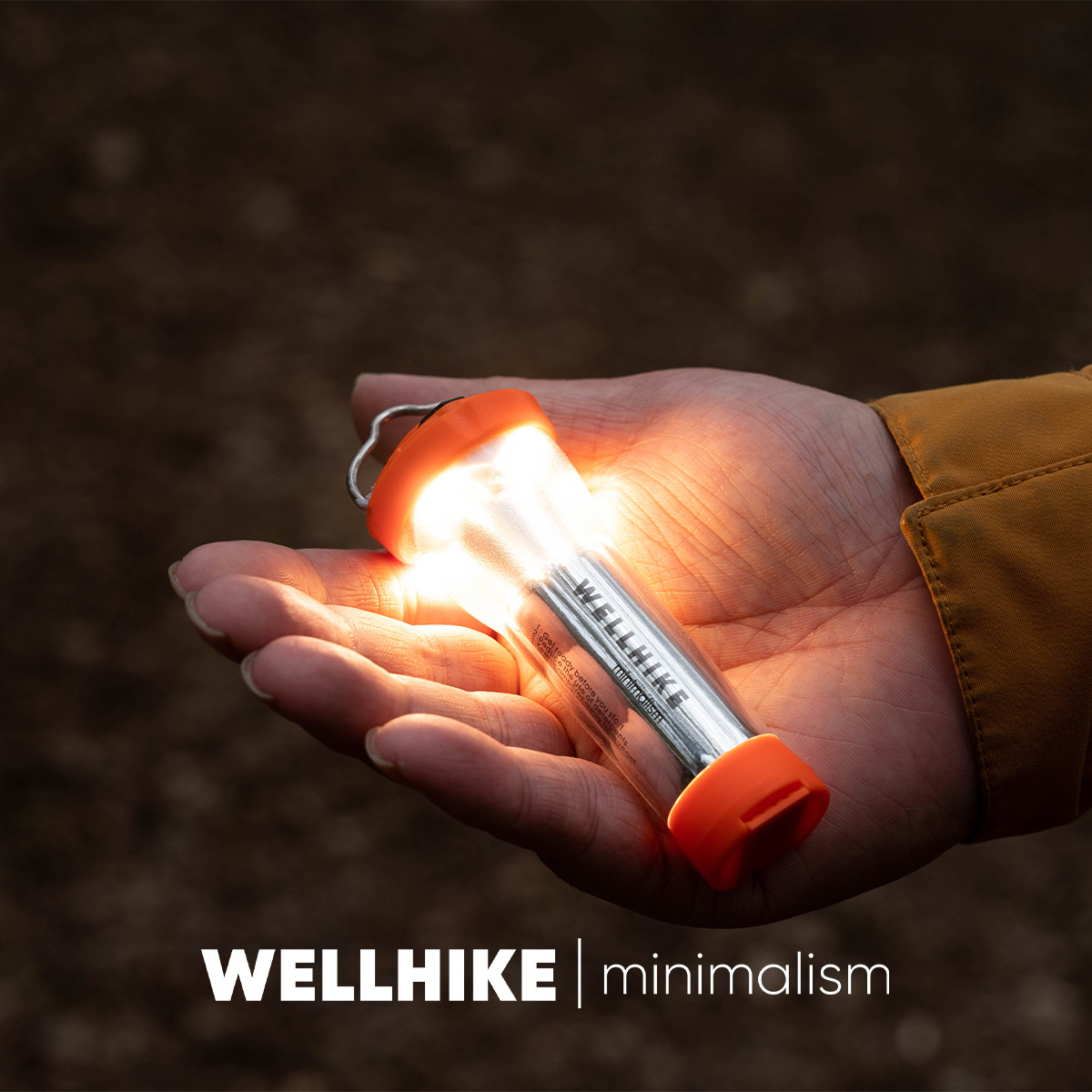 WELLHIKE Camping Light Camping Flashlight Portable Hiking Light Decoration Ambient Light