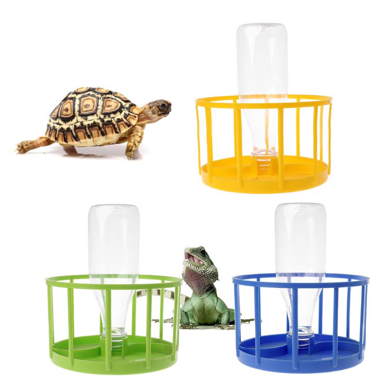 Reptiel Feeder Voedsel Water Kom Aquarium Ornament Terrarium Schotel Voor Schildpad Schildpad Hagedis