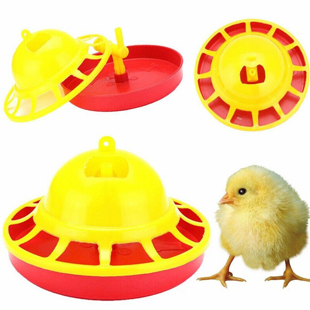 Chicken Feeder Drinker Poultry Chick Hen Quail Ban... – Grandado
