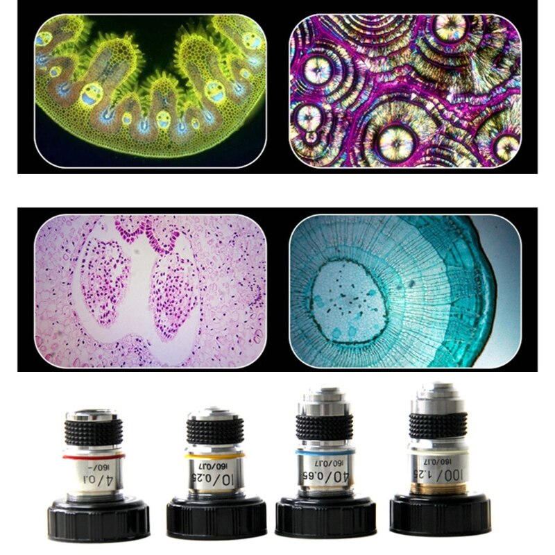 4X 10X 40X 100X Microscoop Objectief Achromatische Laboratorium Biologische Microscoop Onderdelen
