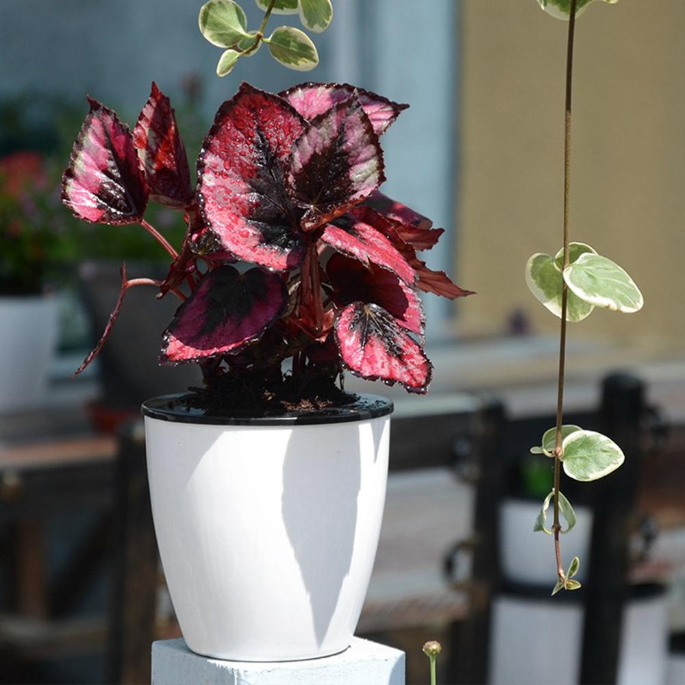 110mm automatisk selvvannende blomsterpotte korrosjonsbestandighet holdbar stueplant plantepotte satt i gulv vanning for hagen