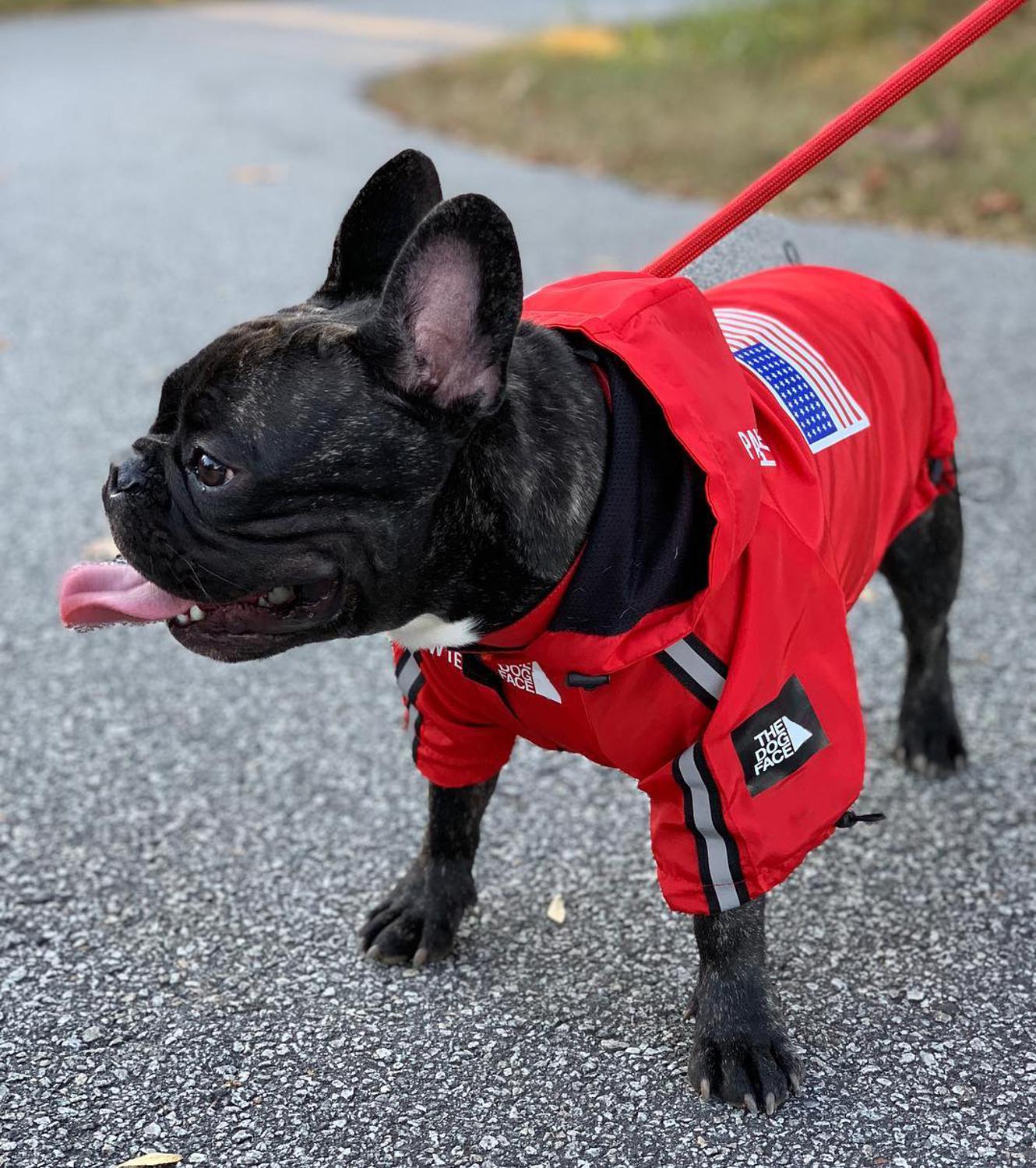 Ropa para Perro Adidog, Bulldog Francés, Pupreme, camisa para Perro, cortavientos, deporte Retro, Sudadera con capucha para Perro mascotas, Ropa para Perro